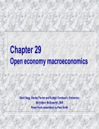 Open economy macroeconomics