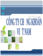 Công ty chứng khoán việt nam