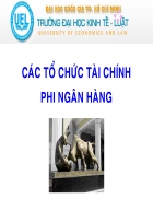 Các tổ chức tài chính phi ngân hàng