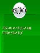 Tổng quan về quản trị nguồn nhân lực