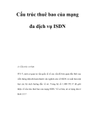 Cấu trúc thuê bao của mạng đa dịch vụ ISDN