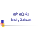 Phân phối mẫu