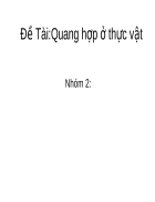 Đề Tài Quang hợp ở thực vật