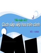 Tieu luan so 2 Cach sap xep hoa tren canh