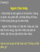 Ngành Chân khớp