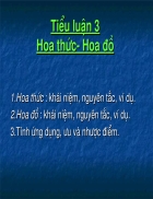 Hoa thức Hoa đồ