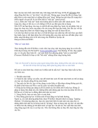 Khắc phục điểm ảnh mắc kẹt trên LCD