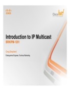 Introduction to IP Multicast