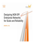 Designing NGN SP Enterprise Networks for Scale and Reliability