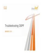 Troubleshooting OSPF