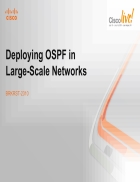 Deploying OSPF in Large Scale Networks