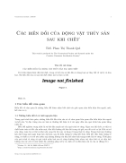 Cac bien doi cua dong vat thuy san sau khi chet