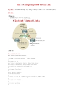 Configuring OSPF Virtual Link