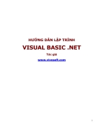 Tài liệu hướng dẫn lập trình Visual Basic