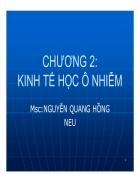 Kinh tế học ô nhiễm