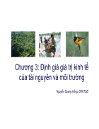 Định giá giá trị kinh tế của tài nguyên và môi trường