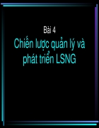 Chiến lược quản lý và phát triển LSNG