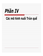 Các mô hình nuôi Trùn quế