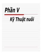 Kỹ Thuật nuôi