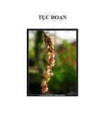 Tục đoạn