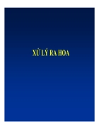 Xử lý ra hoa