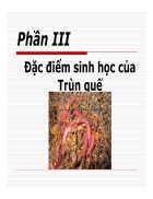 Đặc điểm sinh học của Trùn quế