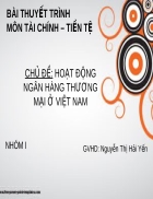 Hoạt động ngân hàng thương mại ở việt nam