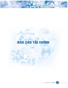 Báo cáo tài chính 3