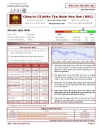 Báo cáo chuyên sâu Công ty Cổ phần Tập đoàn Hoa Sen HSG