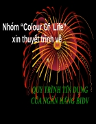 Quy trinh tin dung cua ngân hang bidv̉