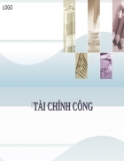 Tài chính công 3