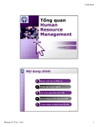 Tổng quan Human resources