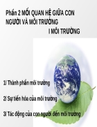 Mối quan hệ giữa con người và môi trường