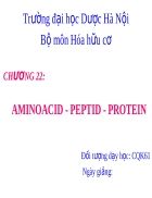 Aminoacid peptid protein