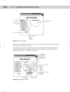 ColdFusion MX Development Practices Figure