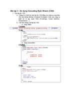 Bài tập Sử dụng Cascading Style Sheets CSS