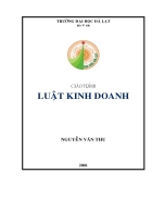 Luật doanh nghiệp 1