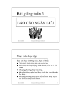 Báo cáo ngân lưu 3