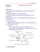 Lipoprotein huyết tương