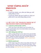 Sinh tổng hợp protein