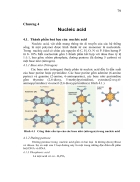 Nucleic acid