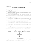 Trao đổi nucleic acid