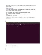 Hướng dẫn cài font chữ bộ gõ tiếng việt iBus Chỉnh DNS để vào Facebook trong ubuntu 11 10