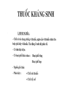 Thuốc kháng sinh