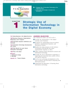 Strategic Use of Information Technology in the Digital Economy