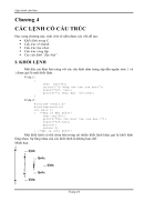 Các lệnh có cấu trúc