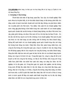 Các giải pháp nhằm nâng cao hiệu quả của hoạt động đầu tư tại công ty cổ phần tư vấn xây dựng Sông Đà