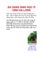 Đa dạng sinh học ở vịnh hạ long