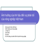 Ảnh hưởng của khí hậu đến sự phân bố của nông nghiệp Việt Nam