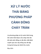 Xu ly nuoc thai bang phuong phap canh dong chay tran